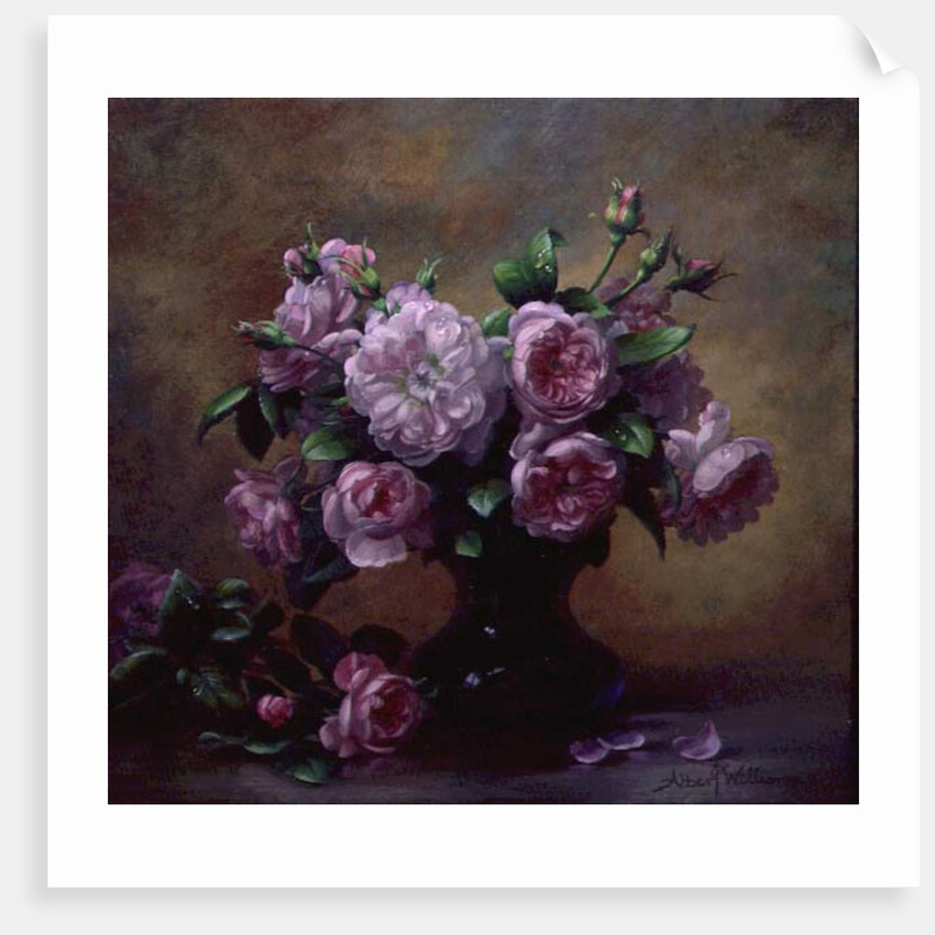 Roses of Sweet Scent and Velvet Touch by Albert Williams