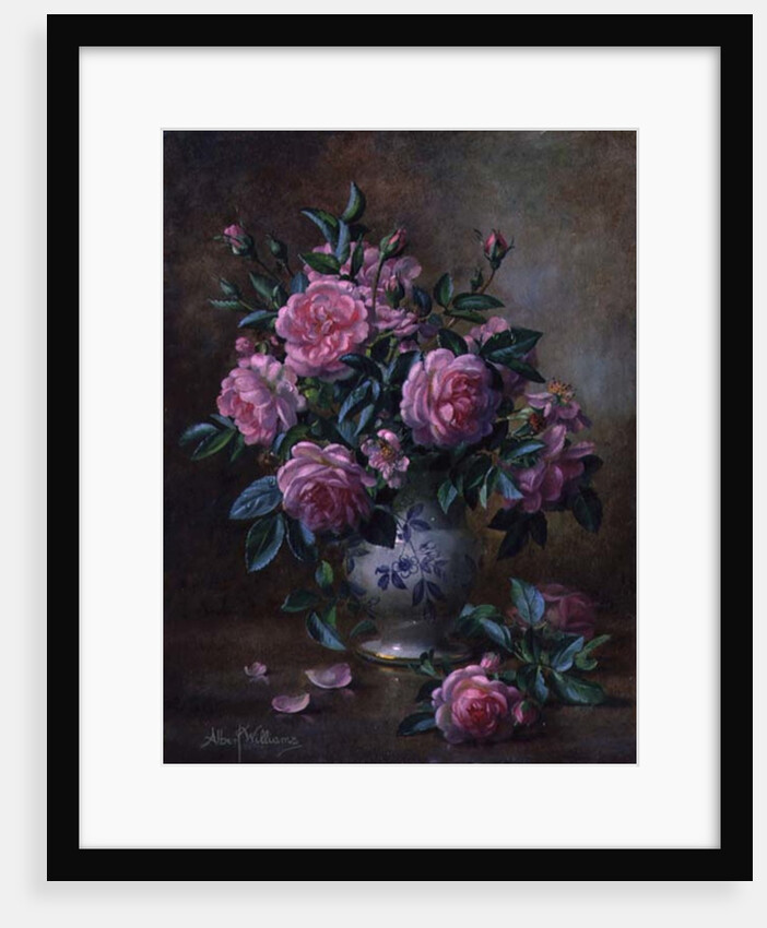 A Medley of Pink Roses by Albert Williams