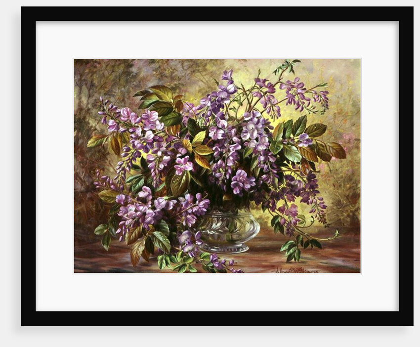 Enchanting Junetide Wisteria by Albert Williams