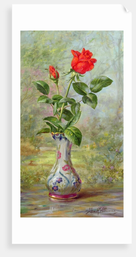 The Crimson Rose, a Messenger of Love by Albert Williams