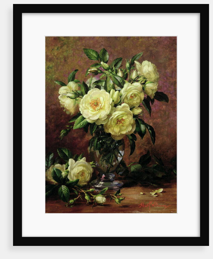 White Roses, A Gift from the Heart by Albert Williams