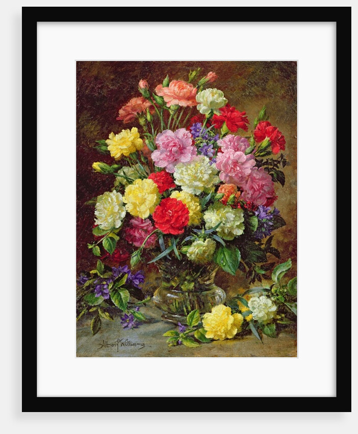 Carnations of Radiant Colours by Albert Williams