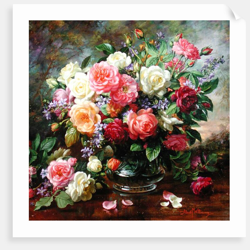Roses - The Perfection of Summer by Albert Williams