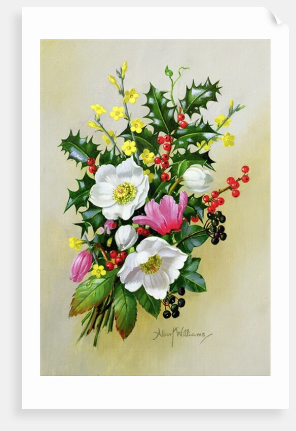 Spray of Dogrose, Holly, Mistletoe and Larkspur by Albert Williams