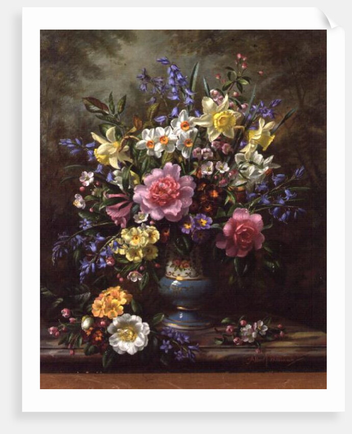 AB/200/2 Bluebells, daffodils, primroses and peonies in a blue vase by Albert Williams