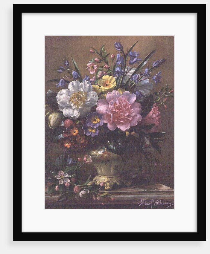 AB/111/2 Peonies, bluebells and primulas by Albert Williams