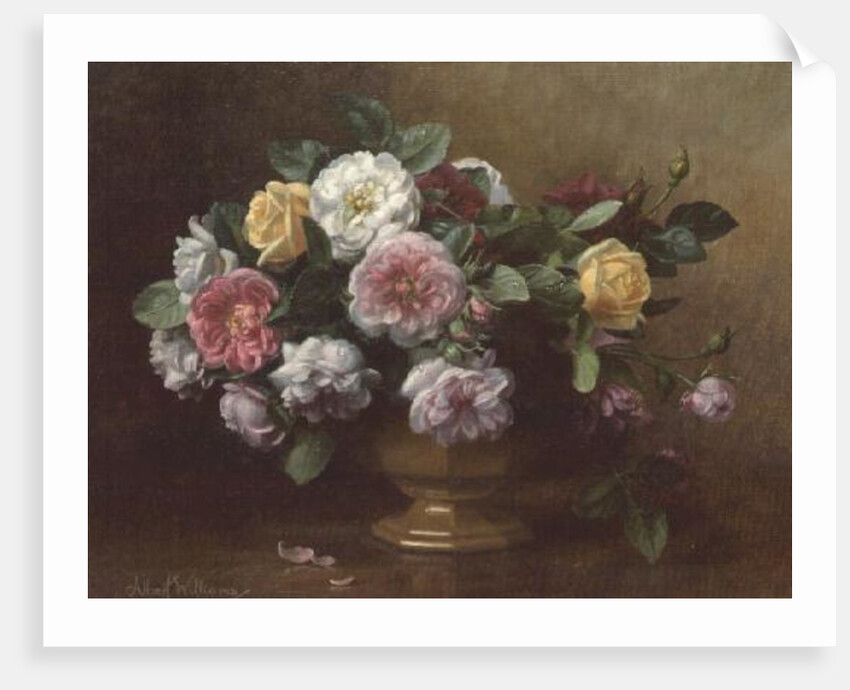 AB/119/2 A bowl of roses by Albert Williams