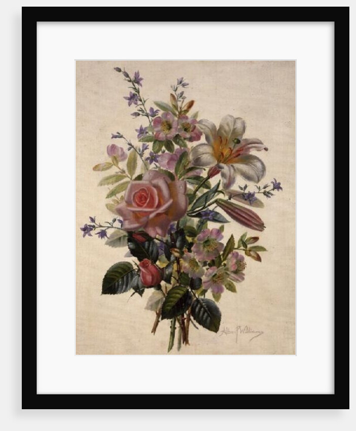 AB/211 A Pink Bouquet by Albert Williams