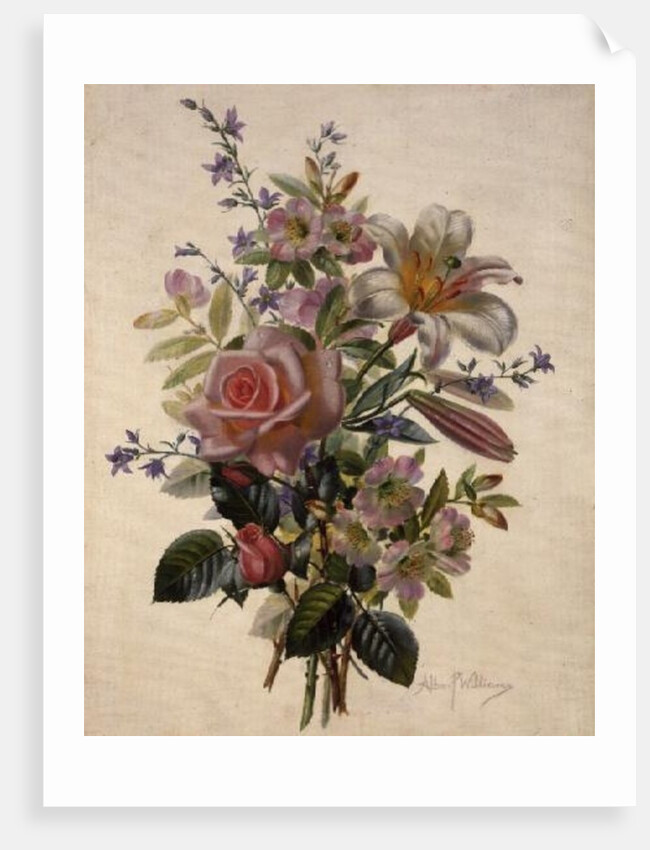 AB/211 A Pink Bouquet by Albert Williams