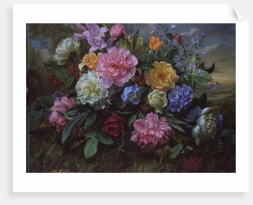 AB/18 Peonies and Hydrangea by Albert Williams