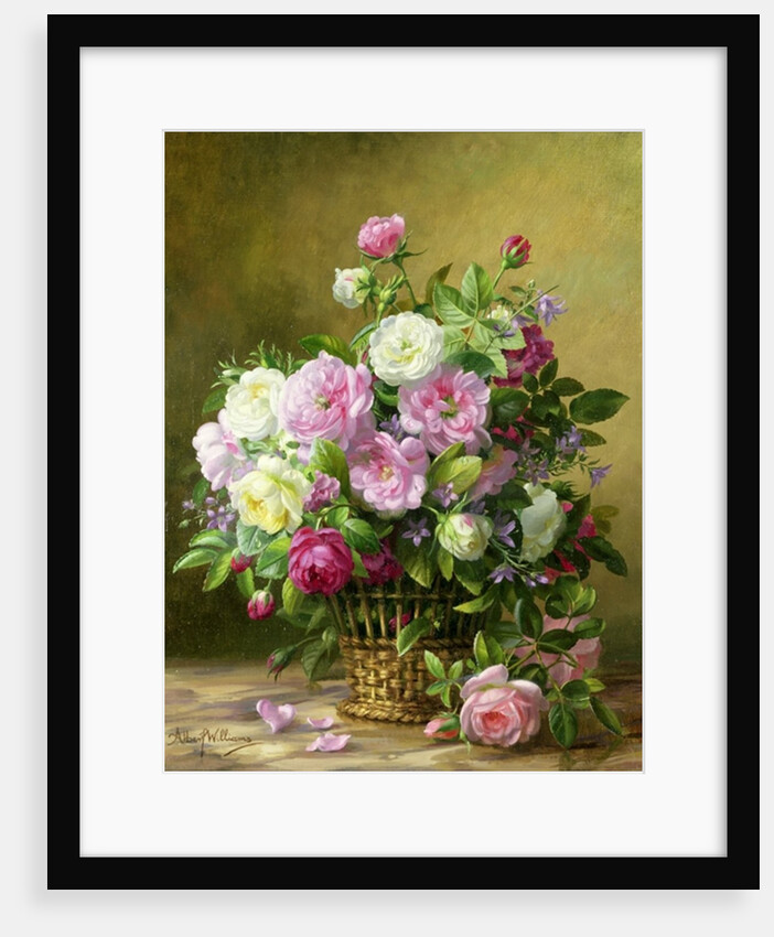 Roses by Albert Williams