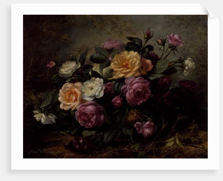 Full Blown Roses by Albert Williams