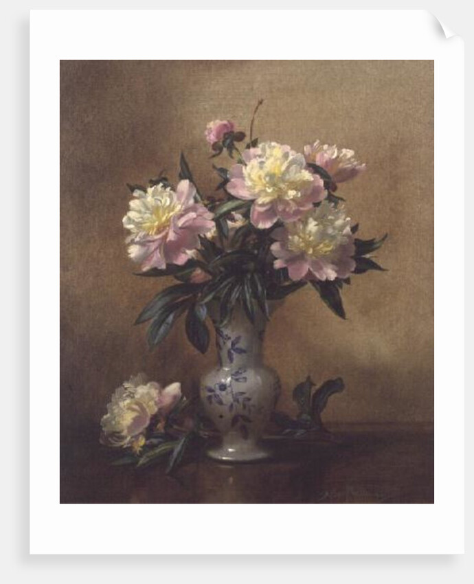 Peonies in a Blue and White Vase by Albert Williams