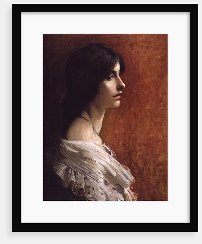 SB 269 Portrait of a Young Lady, 1897 by James Jebusa Shannon