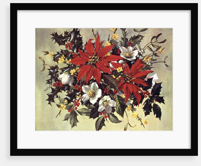PB/274 Christmas Flowers by Albert Williams