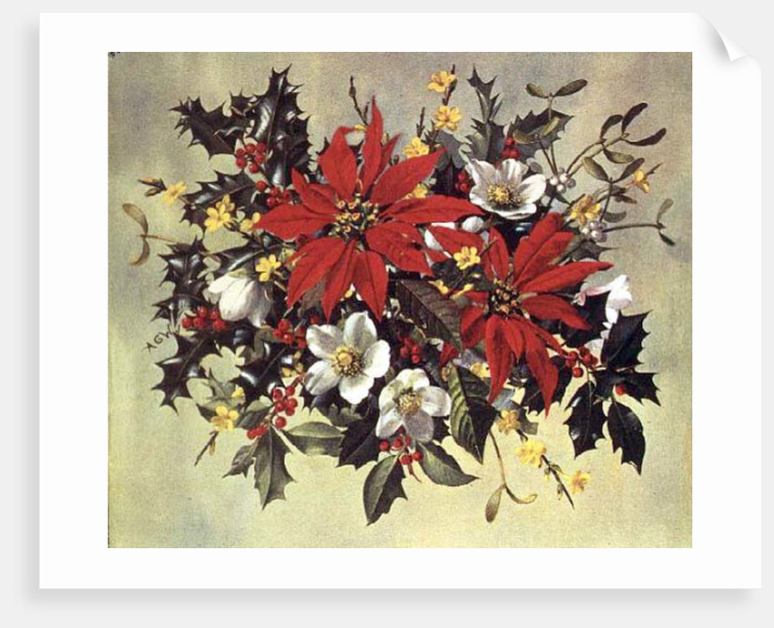 PB/274 Christmas Flowers by Albert Williams