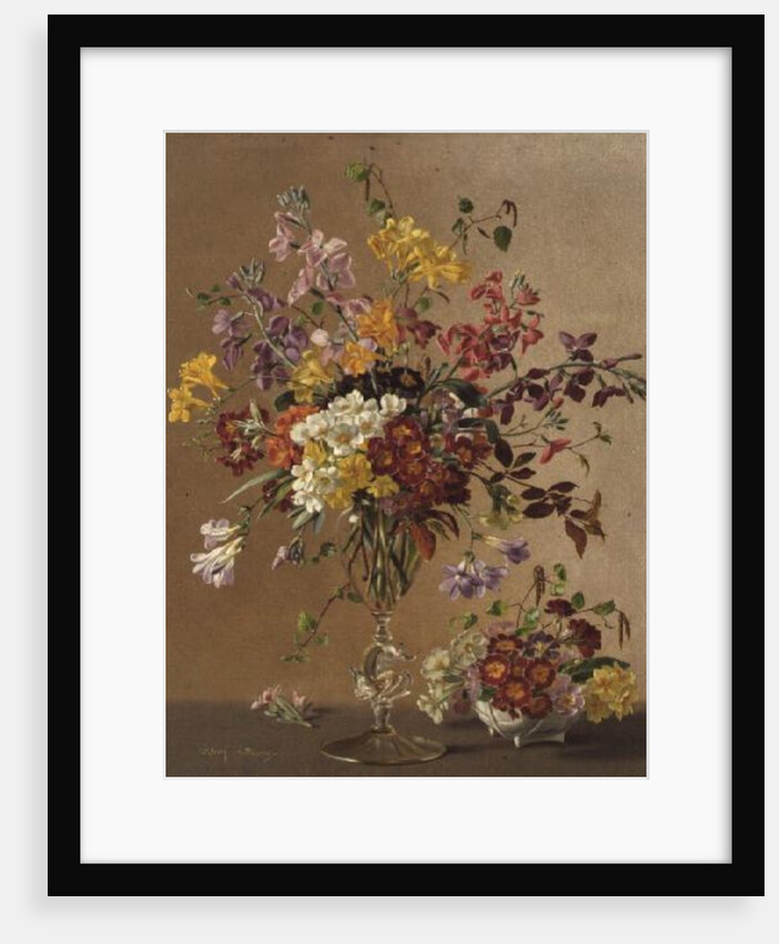 AW/243 Freesias and Primroses by Albert Williams