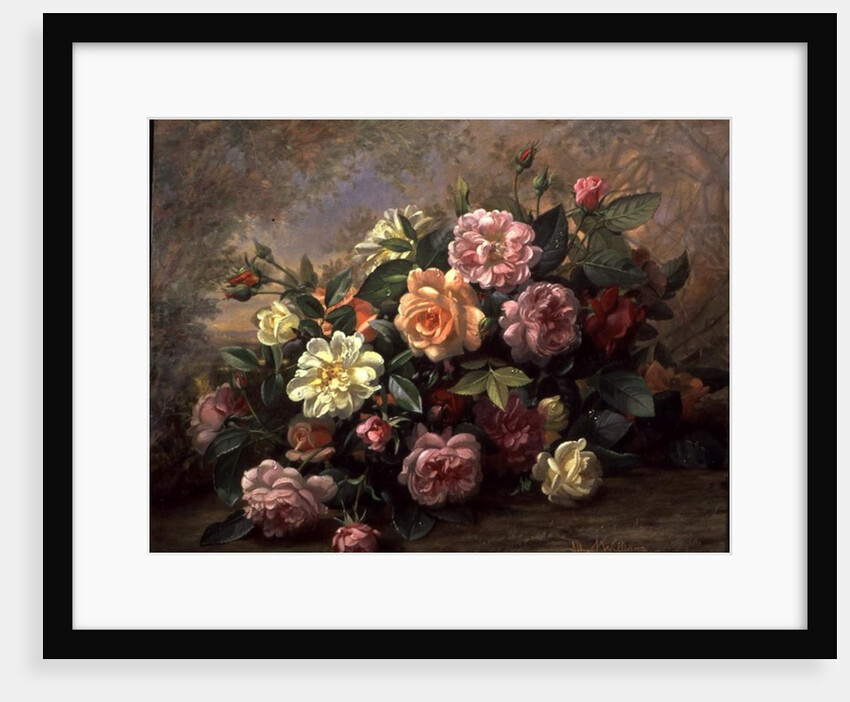 A Fantasy of Roses by Albert Williams