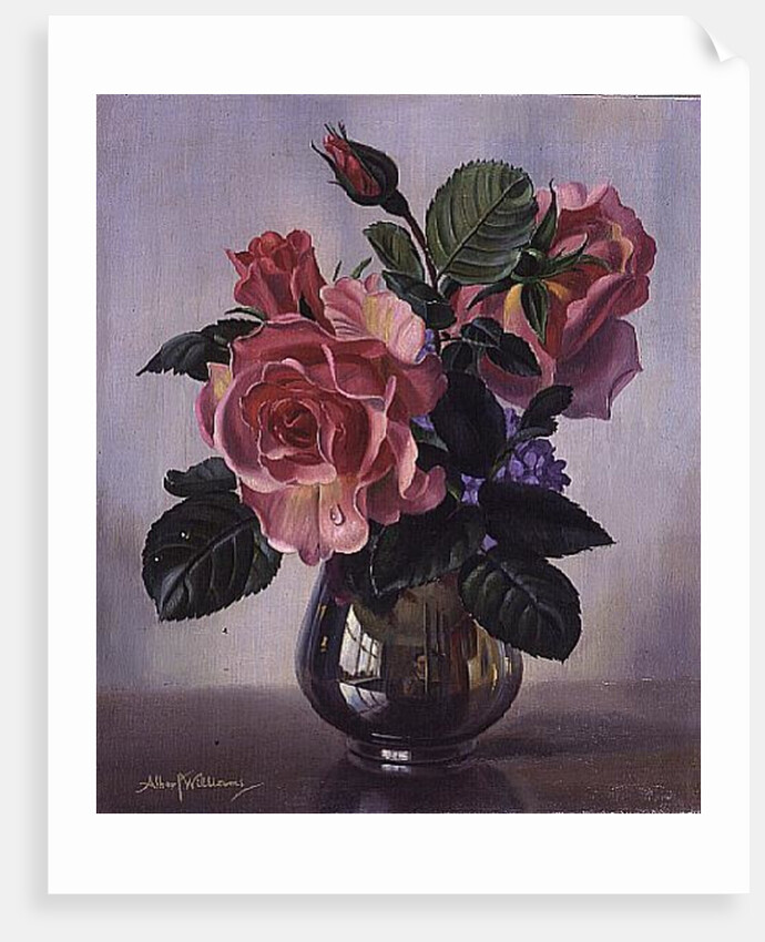 AB/289 Lady Sylvia Roses in a Silver Vase by Albert Williams