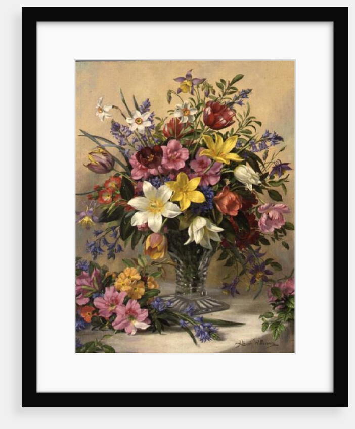 AB/295 Mid Spring Glory by Albert Williams