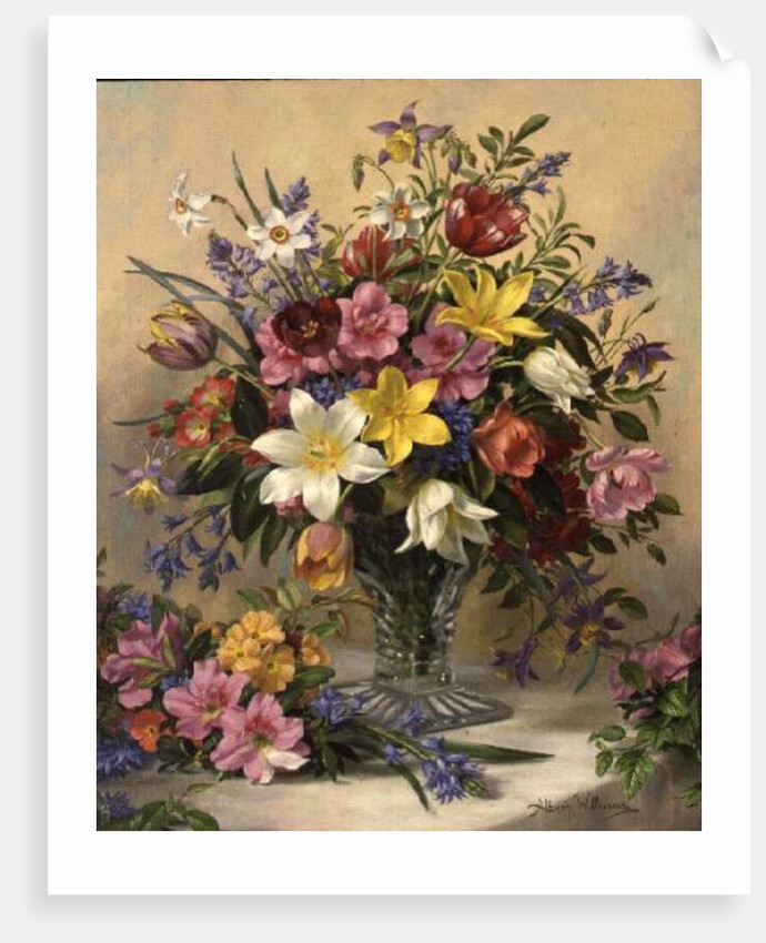 AB/295 Mid Spring Glory by Albert Williams