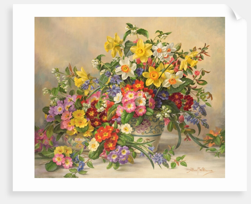 AB/296 Spring Flowers and Poole Pottery by Albert Williams