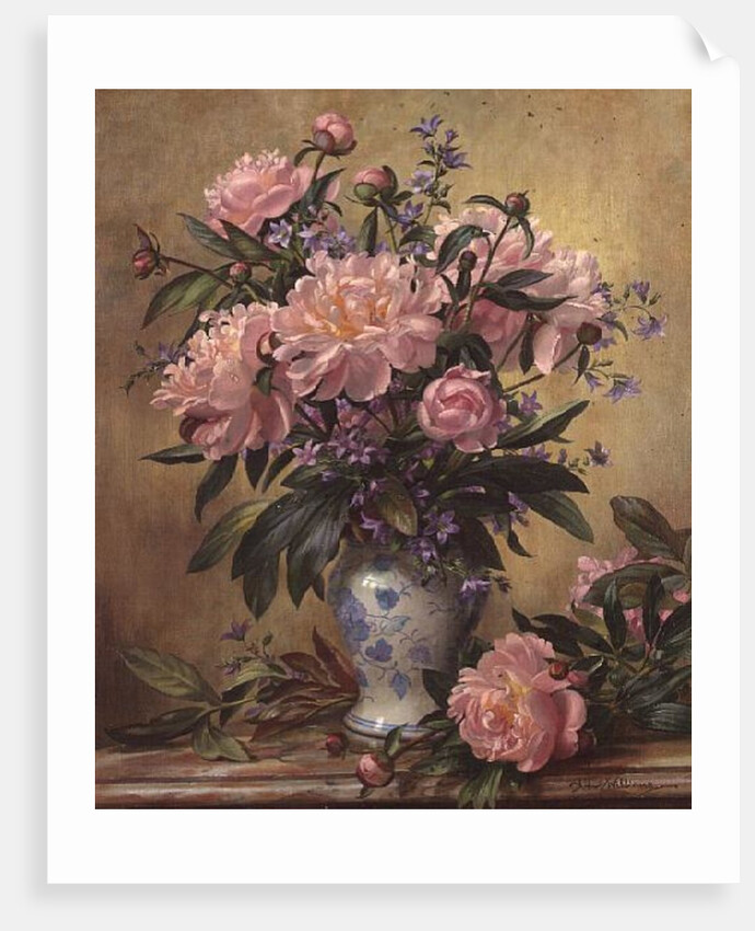 Vase of Peonies and Canterbury Bells by Albert Williams