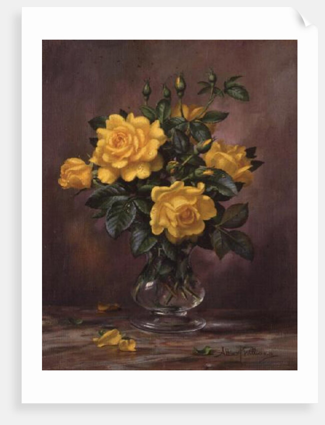 AB/303 Radiant Yellow Roses by Albert Williams