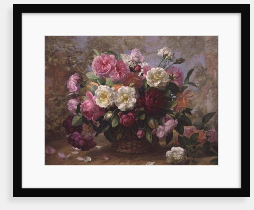 A/291 Heaven's Beauty in a Summer Rose by Albert Williams