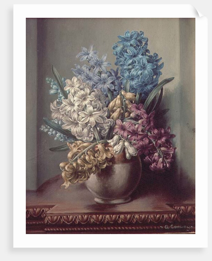 AB/313 Hyacinths in a Pottery Vase by Albert Williams