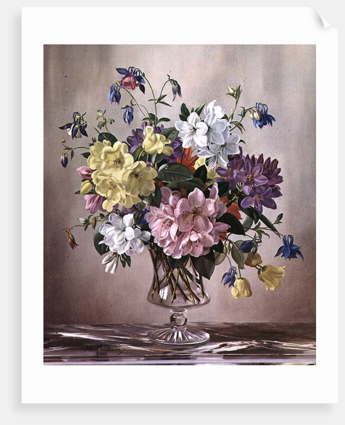 PB/321 Rhododendrons, Azaleas and Columbine in a Glass Vase by Albert Williams