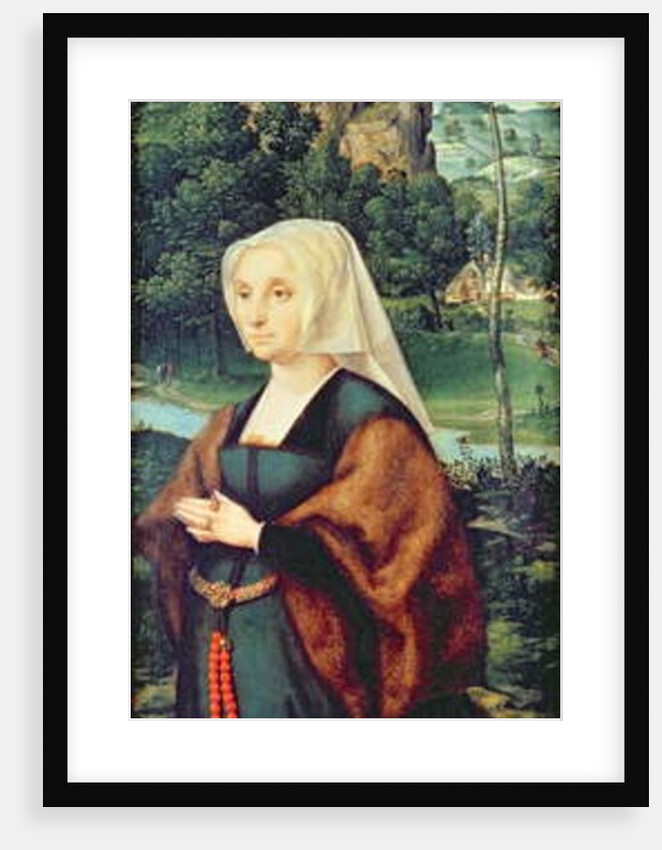 Wife of a donor kneeling by a river by Joos van Cleve