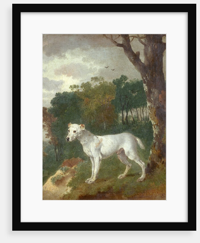 Bumper, a Bull Terrier, 1745 by Thomas Gainsborough