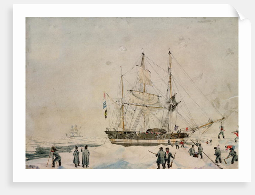 Walking in the Pack, Ross Expedition, 1842 by John Edward Davis