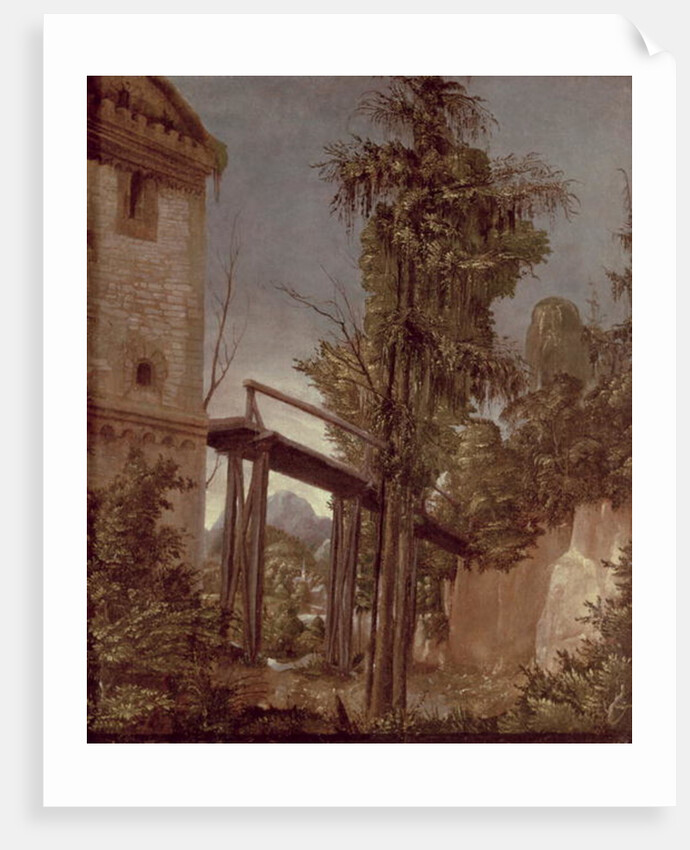 Landscape with a Footbridge by Albrecht Altdorfer