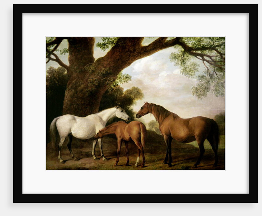 Two Shafto Mares and a Foal, 1774 by George Stubbs
