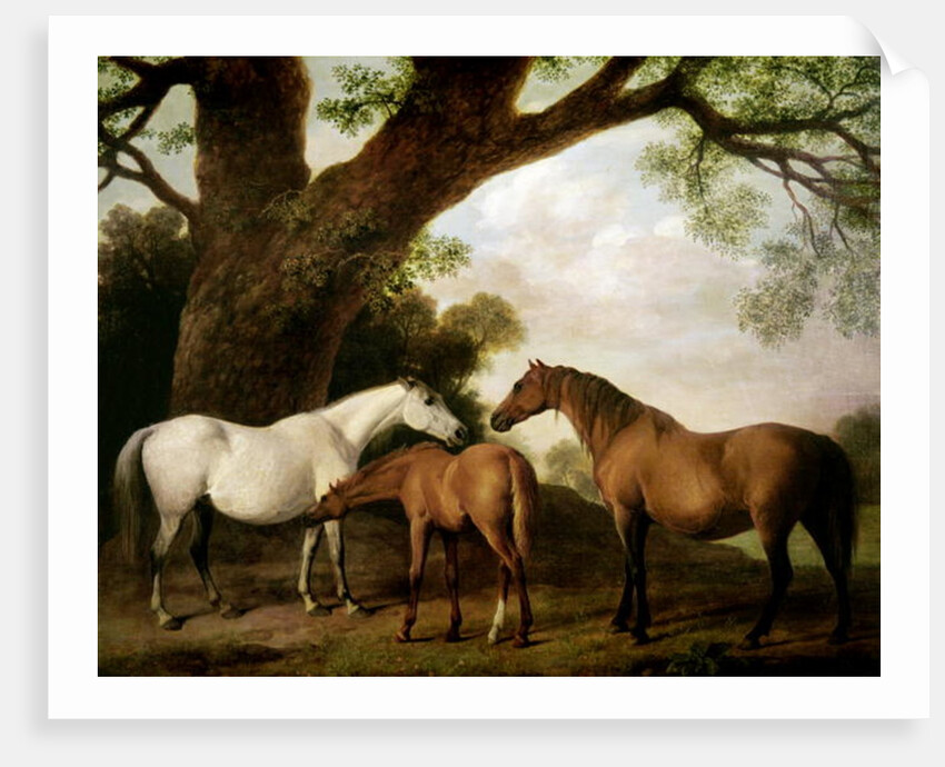 Two Shafto Mares and a Foal, 1774 by George Stubbs