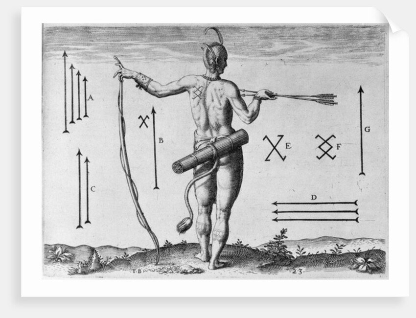 Indian Markings by John White