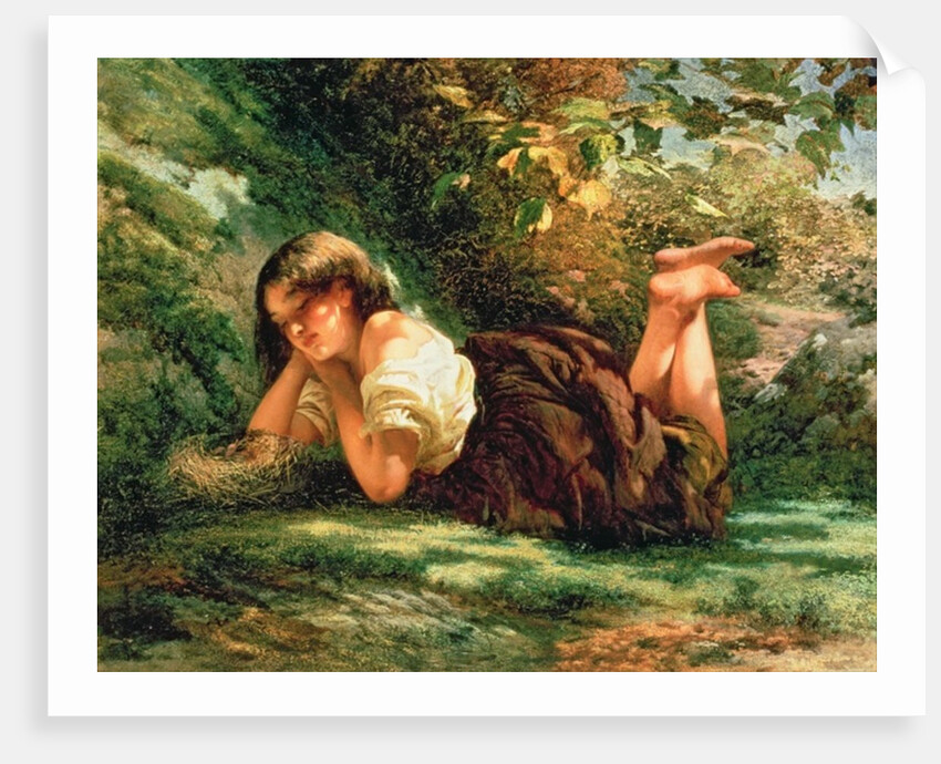 The Nest by Robert RSA Gavin