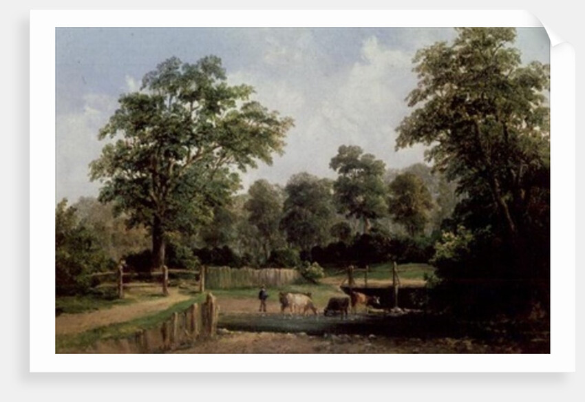 Landscape with cows, 19th century by Alfred Vickers