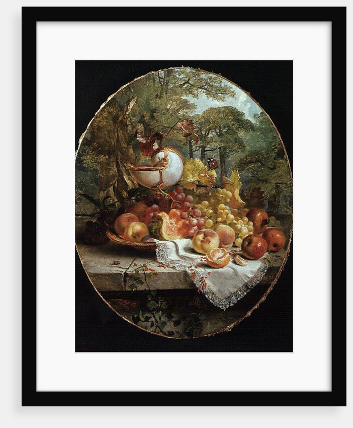 Still Life by Joseph Denovan Adam