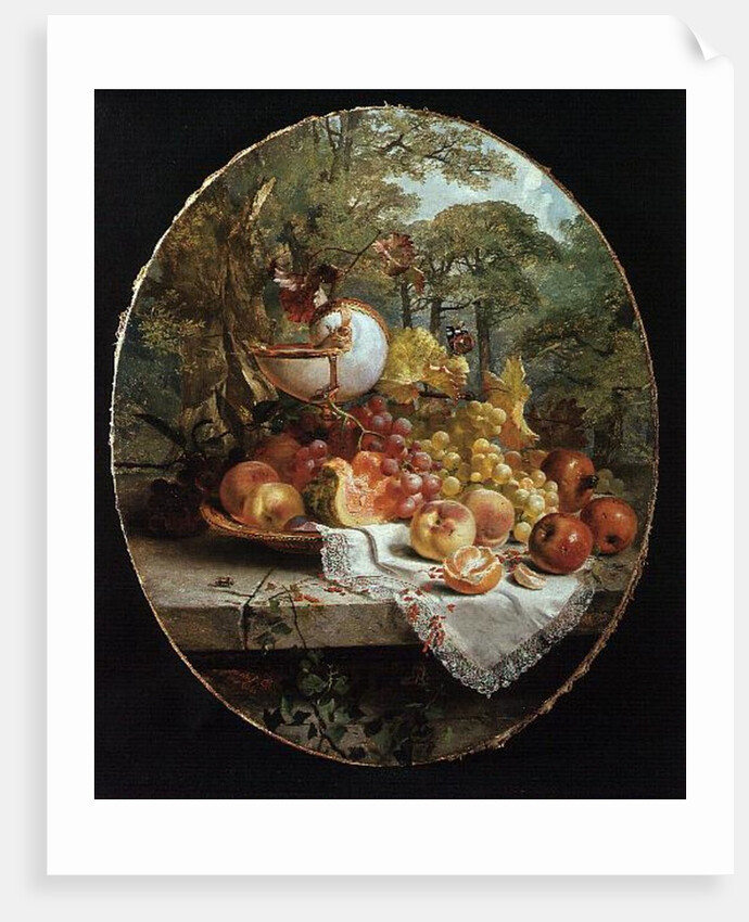 Still Life by Joseph Denovan Adam