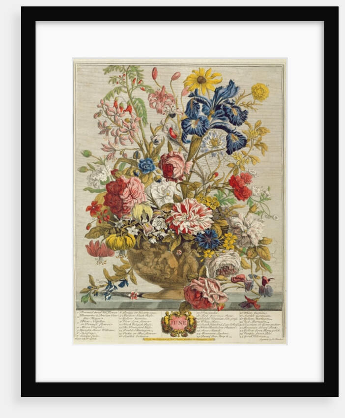 June by Pieter Casteels