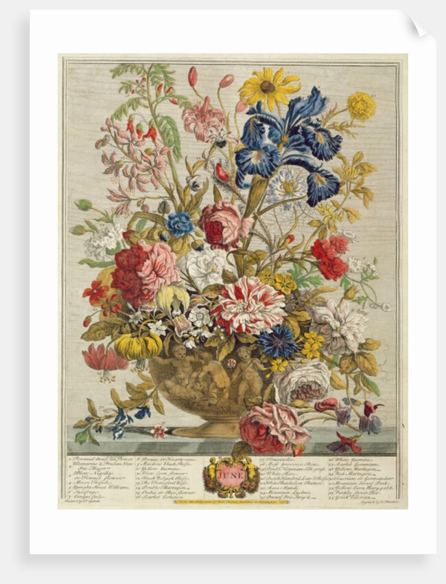 June by Pieter Casteels