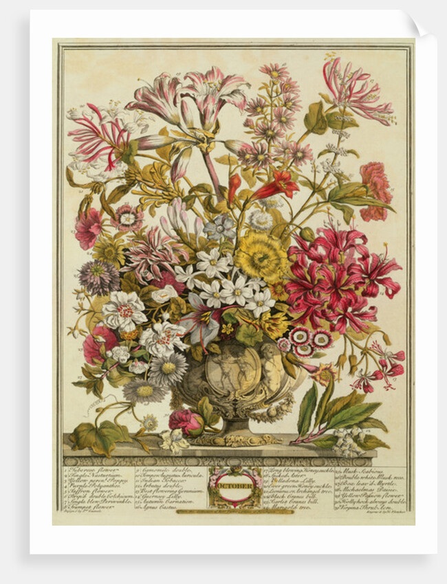 October by Pieter Casteels