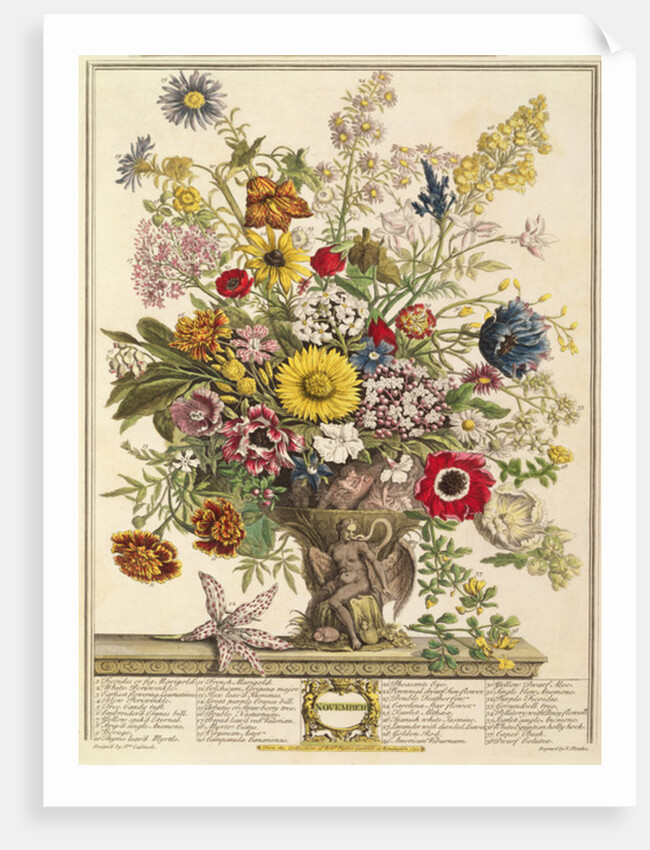 November by Pieter Casteels