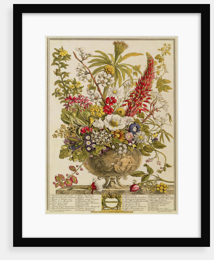 December by Pieter (after) Casteels
