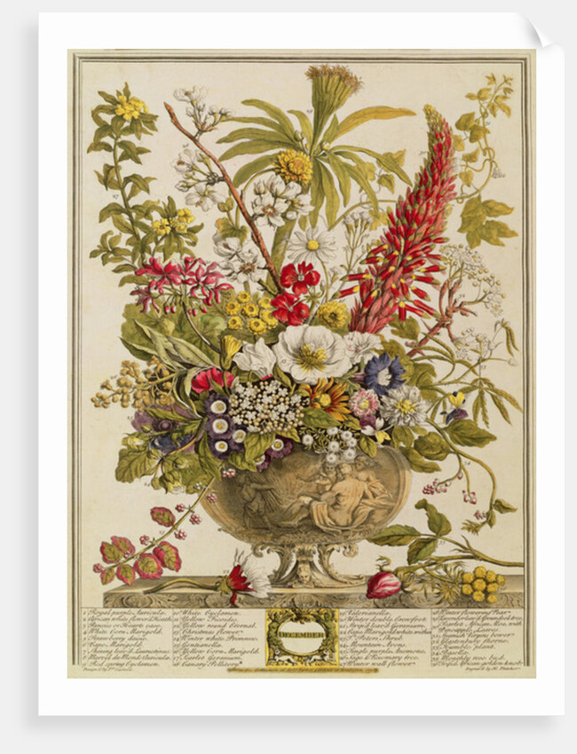 December by Pieter (after) Casteels