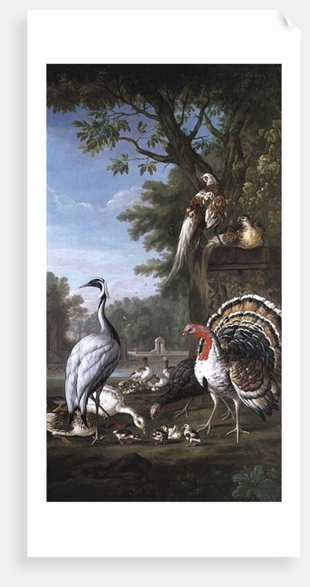 Group of Exotic Birds by Pieter Casteels