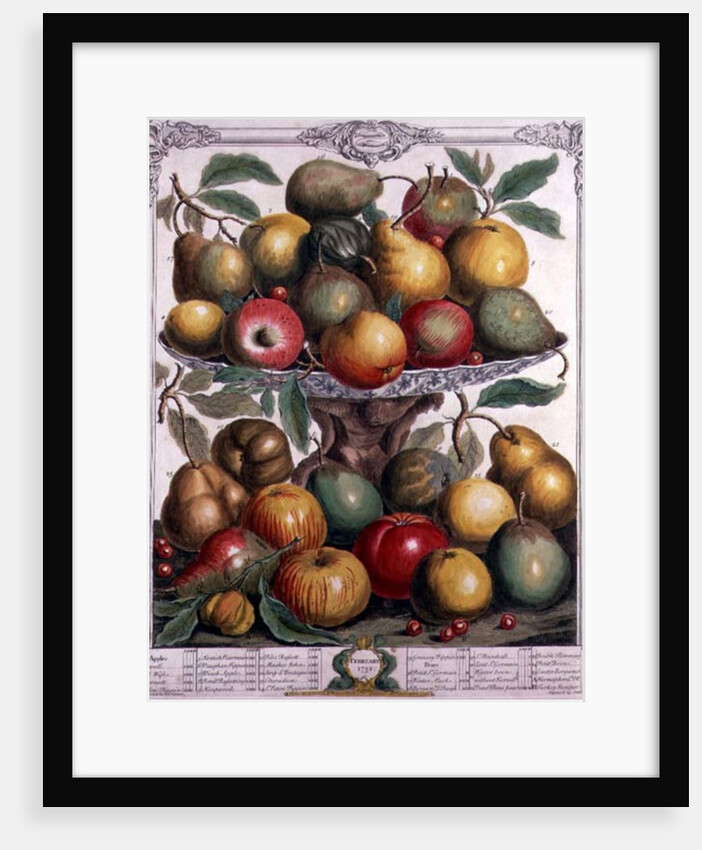 February by Pieter Casteels (after)
